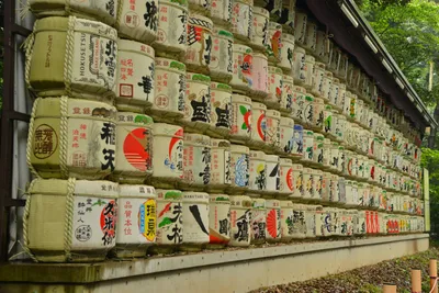 DSC_3273 (Large).JPG